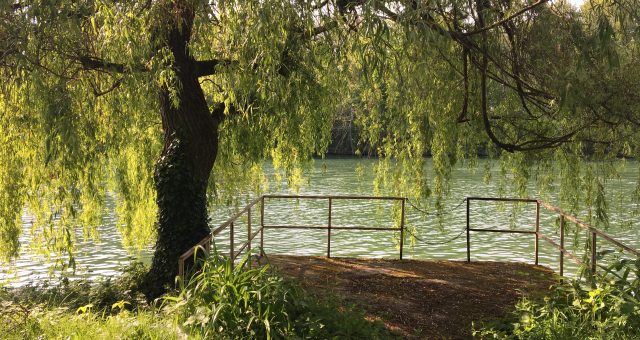 Vivre sa vie au lieu de l’imaginer